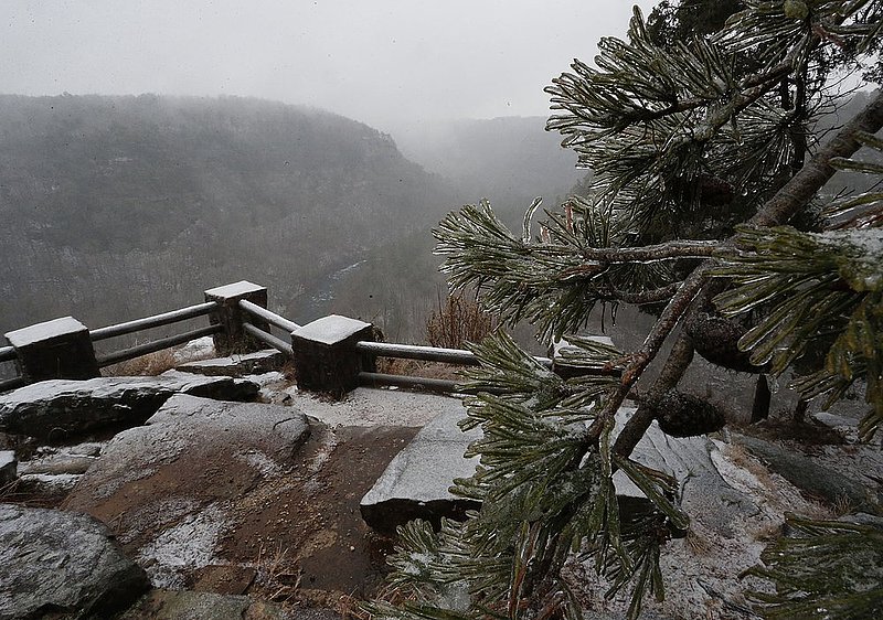 WINTER WEATHER ALHY116 9.53.43 PM.jpg :: Ice covers a Hemlock tree at Crow Point overlook in Little River Canyon National Preserve as fresh snow covers the area Wednesday Feb. 12,  2014 near Fort Payne Ala. Officials are warning of ice and snow accumulations as the day continues.  (AP Photo/Hal Yeager)