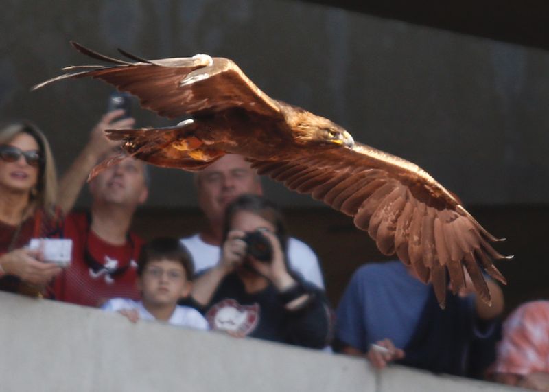 Alabama vs Auburn    492.jpg