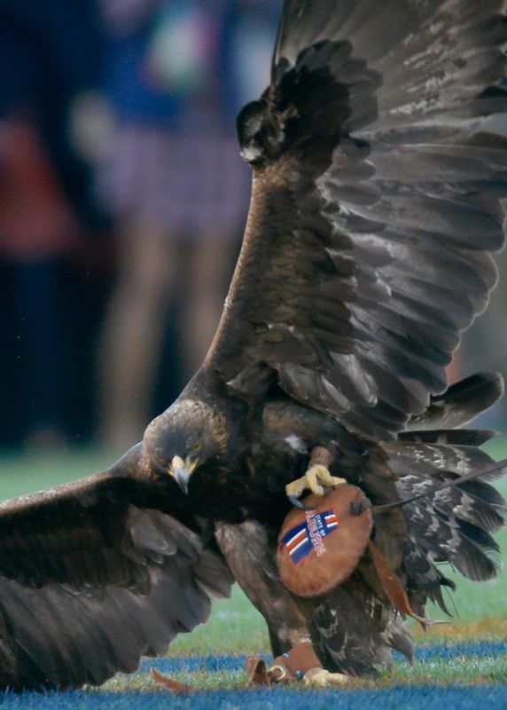 Alabama vs Auburn    533.jpg