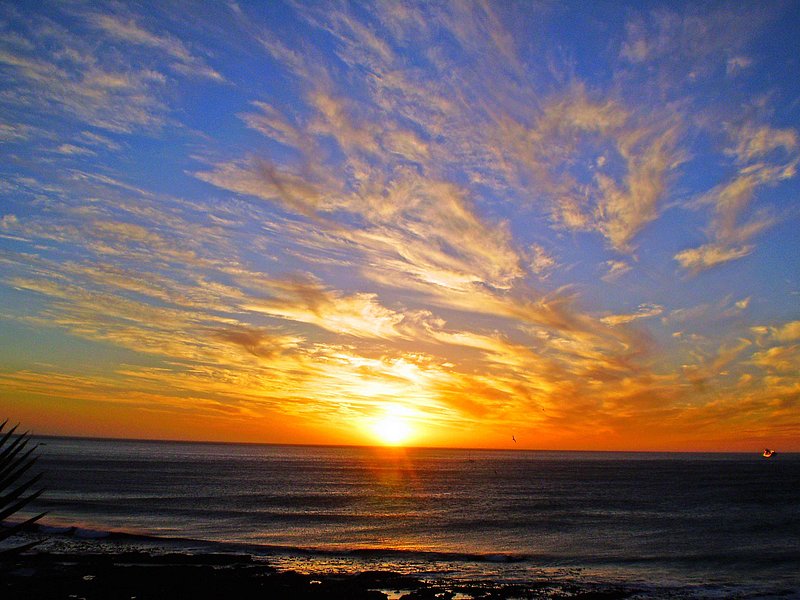 A Better Tomorrow.jpg :: To acquire a fine art print of this photo, press Contact above. 