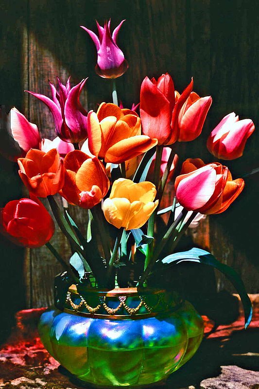 A Time For Tulips.jpg :: To purchase a fine art print of this photo go to michael-durst.artistwebsites.com  To view comments, click on \