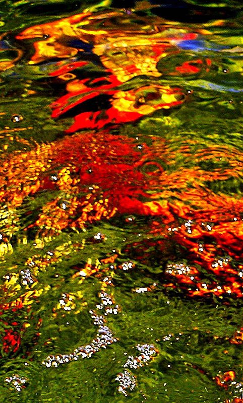 ABSTRACT GOLDFISH 3.jpg :: To purchase a fine art print of this photograph go to michael-durst.artistwebsites.com  To view comments, click on \