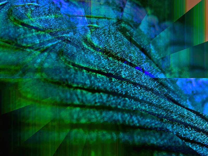 Absolute Blue.jpg :: To acquire a fine art print of this piece, press Contact above. 