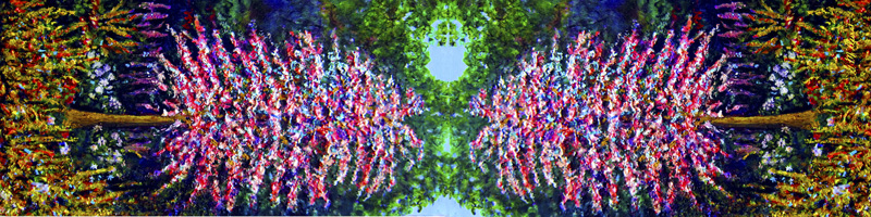 As Lovely-Long Scarf.jpg :: To order a silk scarf of this artwork go to www.DesignerScarvesByMarlena.com or go directly to
http://www.designerscarvesbymarlena.com/MIDU-As-Lovely.html 