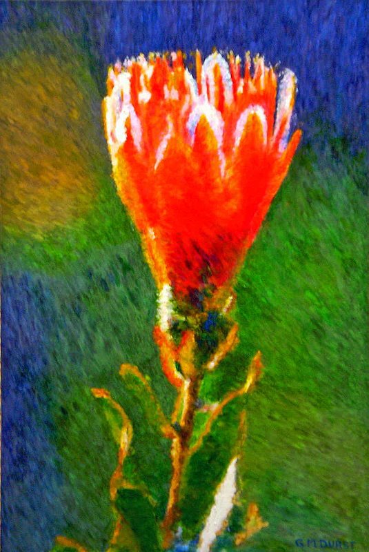 BUDDING PROTEA.jpg :: To purchase a fine art limited edition of this piece, contact DurstArt@aol.com or press Contact above.
