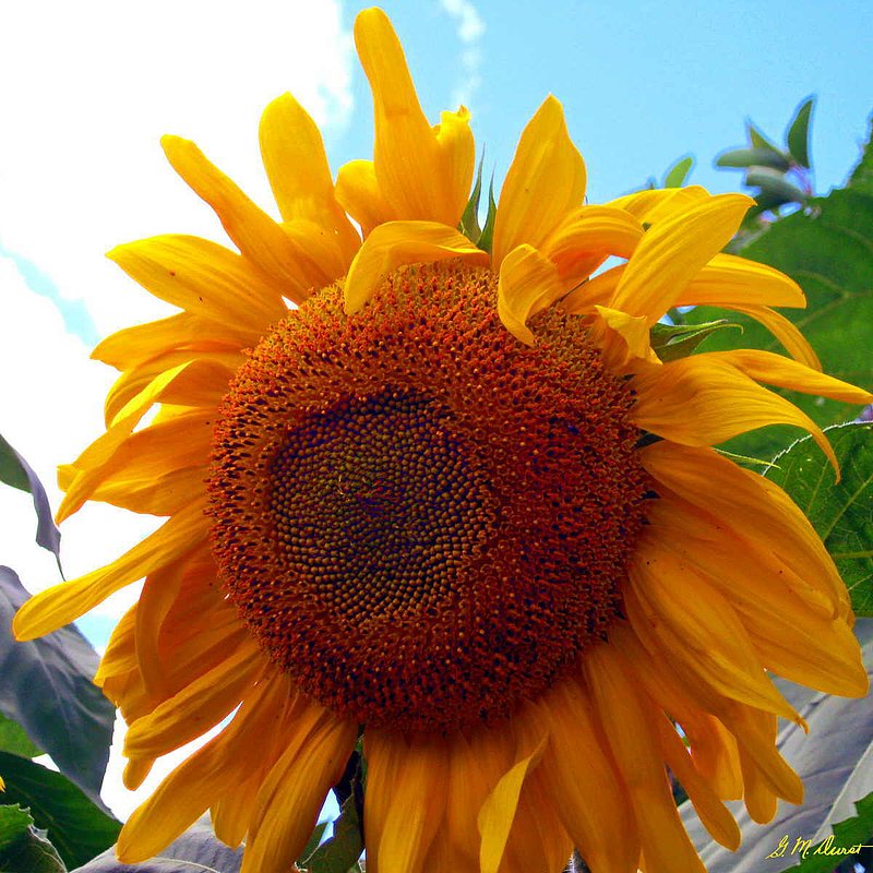 Brighter Days Ahead.jpg :: To purchase a fine art print of this image go to michael-durst.artistwebsites.com  To view comments, click on \