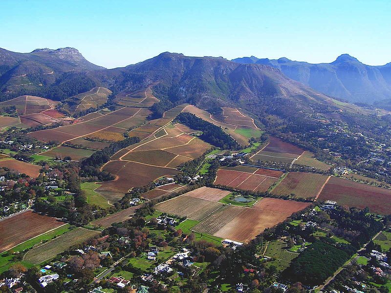 Constantia Vineyards by Air.jpg :: To purchase a fine art print of this image go to michael-durst.artistwebsites.com  To view comments, click on \