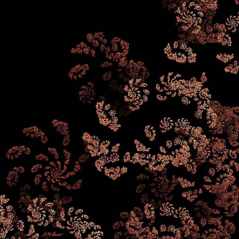 Floating Cosmos.jpg