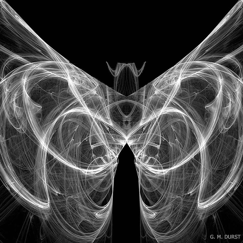 Fractal Butterfly BW.jpg :: To purchase a fine art print on canvas or archieval paper of this digital work, email DurstArt@aol.com To view comments, click on \
