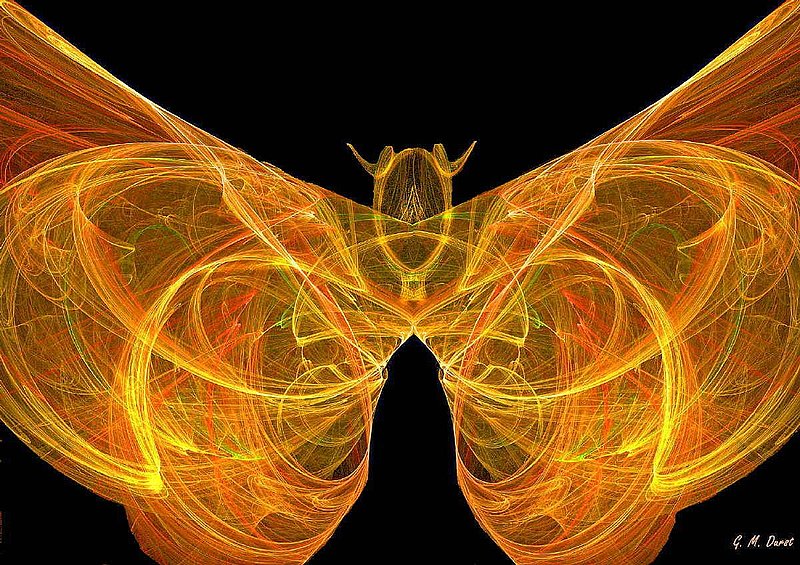 Fractal Butterfly.jpg :: For a Limited Edition of this image, please contact the artist at DurstArt@aol.com