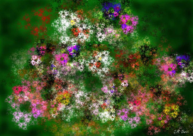 Fractal Garden.jpg :: To acquire a fine art print of this piece, press Contact above. 