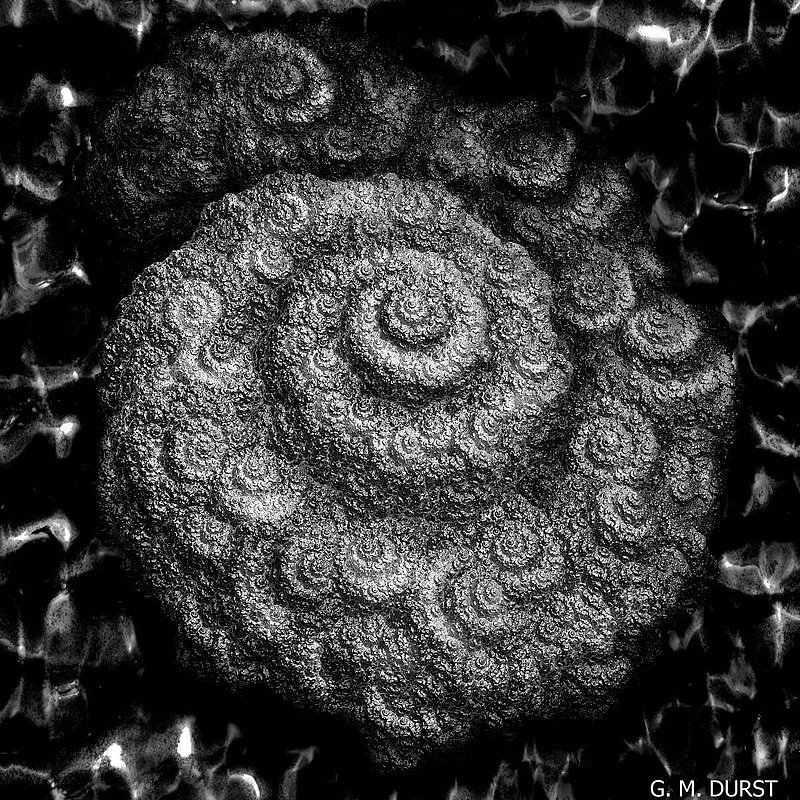 Fractal Nautilus BW.jpg :: To purchase a fine art print on canvas or archieval paper of this digital work, email DurstArt@aol.com To view comments, click on \