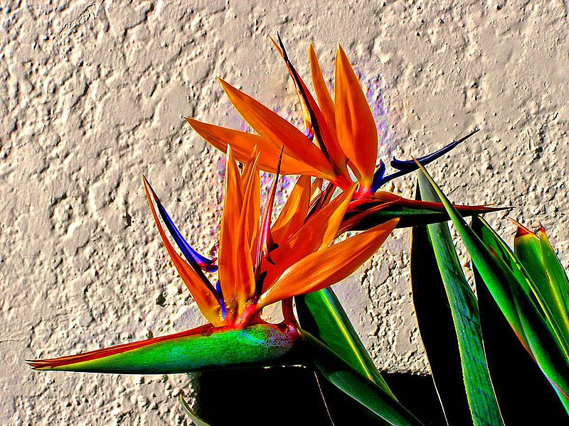 Going In Different Directions.jpg :: To purchase a fine art print of this digital image go to michael-durst.artistwebsites.com  To view comments, click on \
