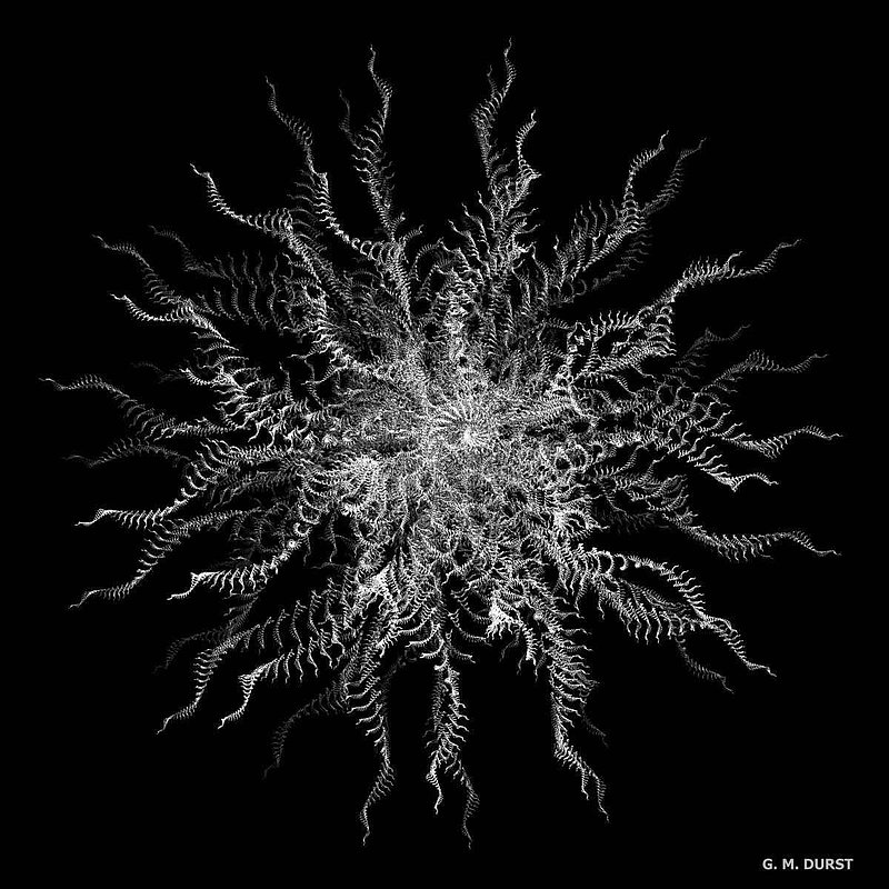 Halo.jpg :: To acquire a fine art print of this piece, press Contact above. 