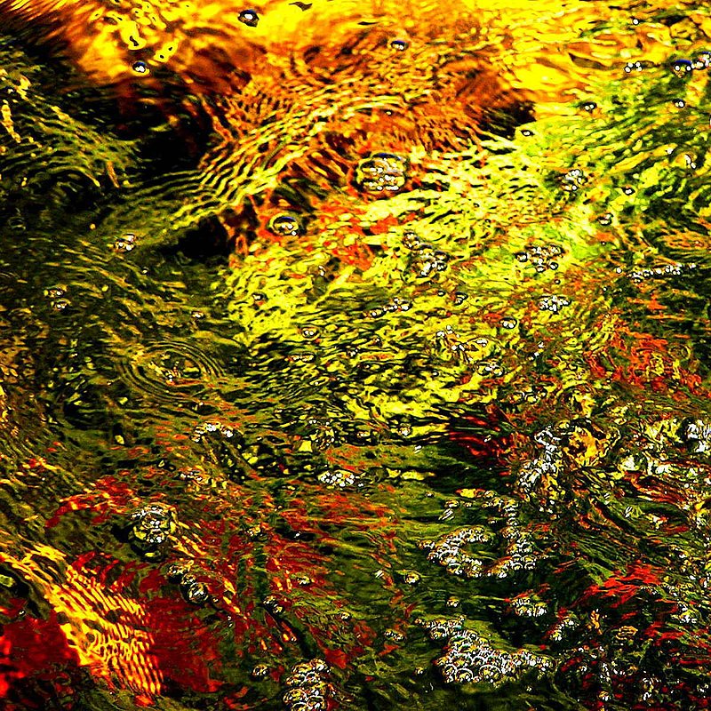 In the Flow 1.jpg :: This is one of a series of photographs taken at a Koi pond in Hermanus, South Africa.  To purchase a fine art print of this photograph go to michael-durst.artistwebsites.com  To view comments, click on \