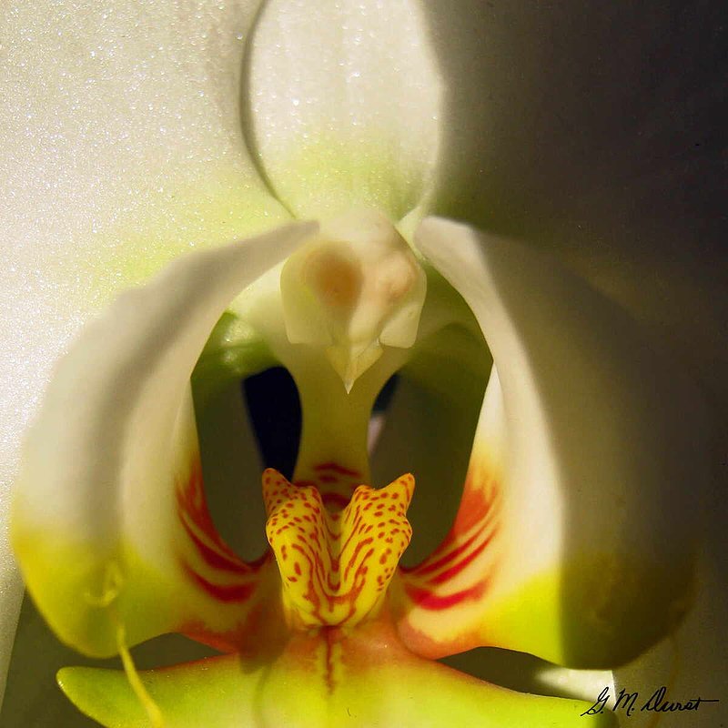 Inner Sanctum.jpg :: To acquire a fine art print of this photo, press Contact above. 