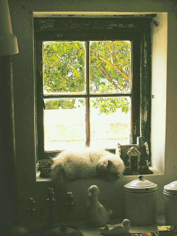 LAZY DAY.jpg :: To purchase a fine art print of this photograph go to michael-durst.artistwebsites.com  To view comments, click on \