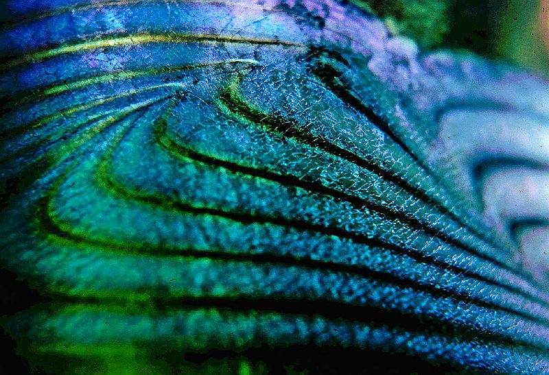Lifes Flow.jpg :: To acquire a fine art print of this photo, press Contact above. 