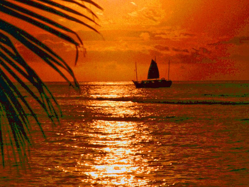 Maui Gold.jpg :: To purchase a fine art print of this painting go to michael-durst.artistwebsites.com  To view comments, click on \