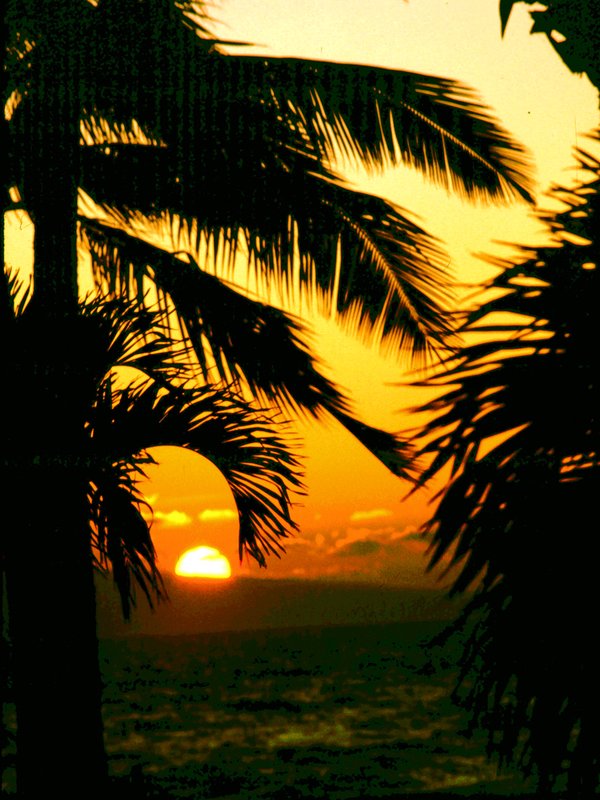 Maui Sunset.jpg :: To purchase a fine art print of this painting go to michael-durst.artistwebsites.com  To view comments, click on \