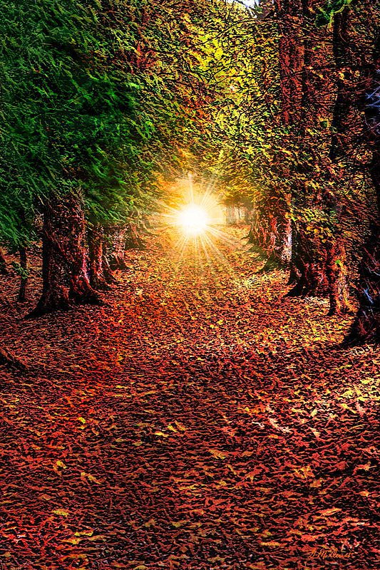 Pathway to the Heart.jpg :: To acquire a Limited Edition of this work, contact DurstArt@aol.com 