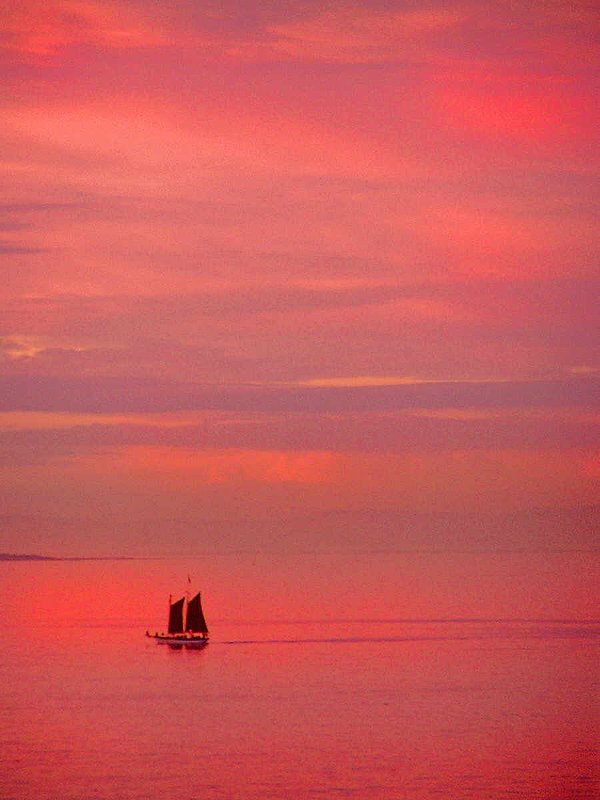 Pink Sails in the Sunset.jpg :: This is a photo of the Spirit of Victoria in one of Cape Town's glorious sunsets. To purchase a fine art print of this painting go to michael-durst.artistwebsites.com  To view comments, click on \