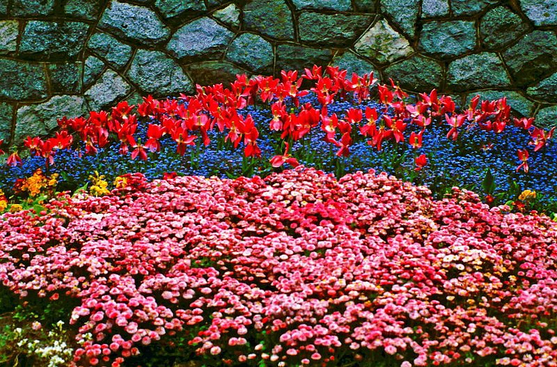 STONE WALL SPRING.jpg :: To purchase a fine art print of this painting go to michael-durst.artistwebsites.com  To view comments, click on \