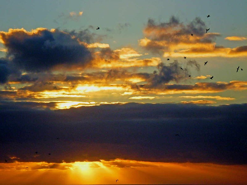 SUNGOD 2.jpg :: To purchase a fine art print of this photograph go to michael-durst.artistwebsites.com  To view comments, click on \