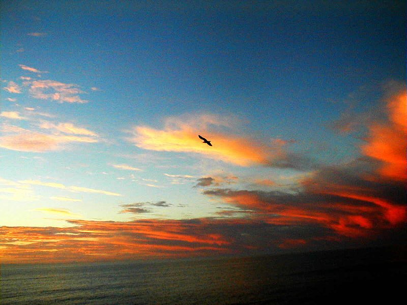 SUNGOD 24.jpg :: To purchase a fine art print of this photograph go to michael-durst.artistwebsites.com  To view comments, click on \