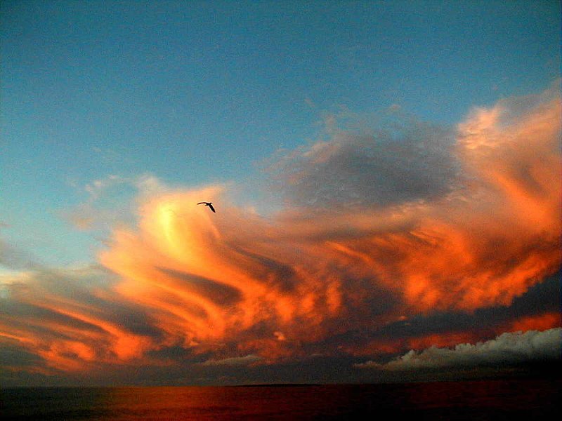 SUNGOD 29.jpg :: To purchase a fine art print of this photograph go to michael-durst.artistwebsites.com  To view comments, click on \