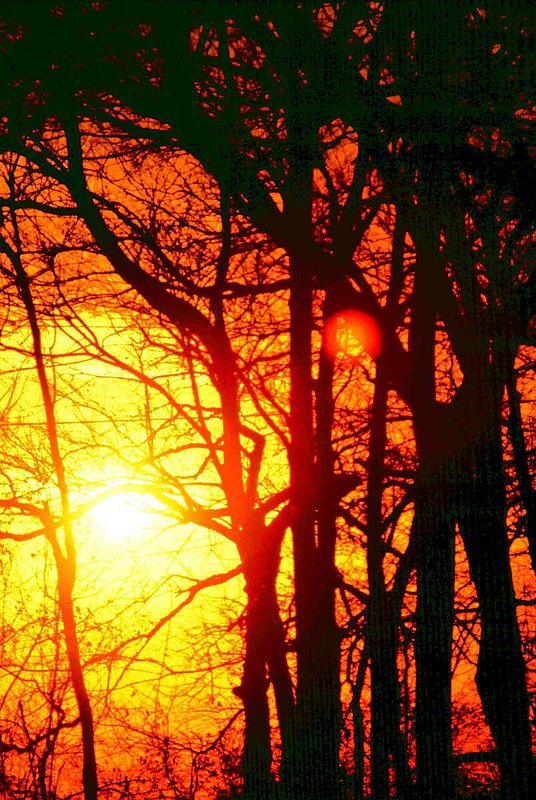 SUNGOD 30.jpg :: To purchase a fine art print of this photograph go to michael-durst.artistwebsites.com  To view comments, click on \