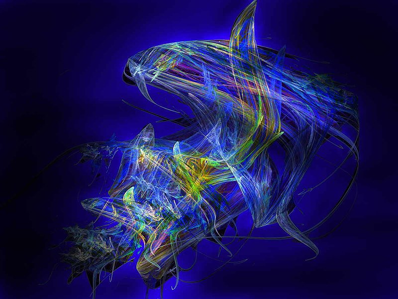 Shark Beauty DVD.jpg :: To order a Limited Edition on canvas or archival paper, contact DurstArt@aol.com 
