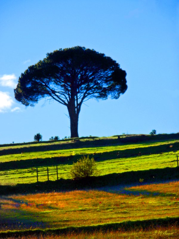 Solitude.jpg :: To acquire a fine art print of this photo, press Contact above. 