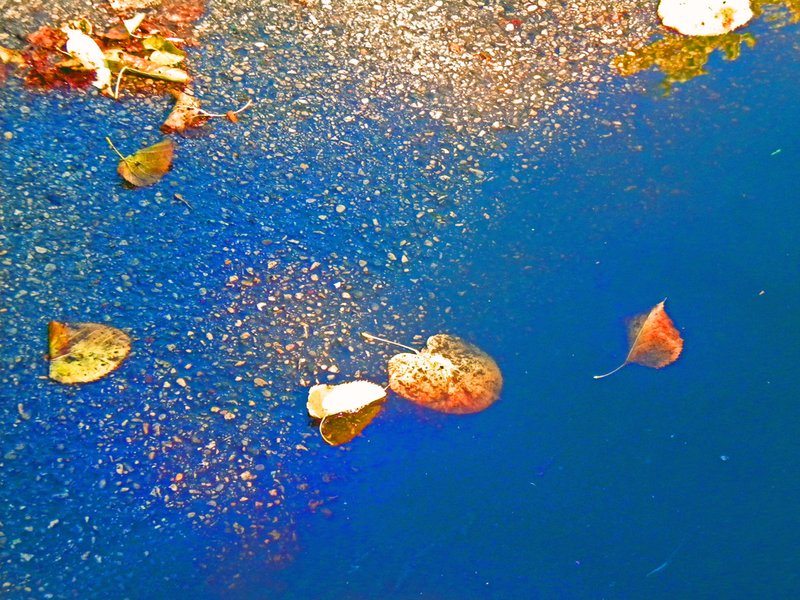 Swept Away.jpg :: To purchase a fine art print of this digital image go to michael-durst.artistwebsites.com  To view comments, click on \