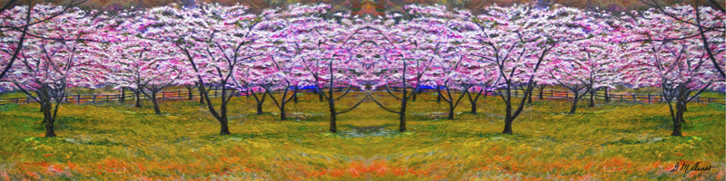 The Cherry Orchard-Long Scarf.jpg :: To order a silk scarf of this artwork go to www.DesignerScarvesByMarlena.com or go directly to
http://www.designerscarvesbymarlena.com/MIDU-The-Cherry-Orchard.html 