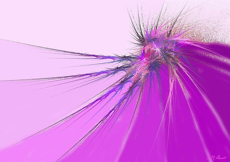 Thistle DVD.jpg :: To order a Limited Edition on canvas or archival paper, contact DurstArt@aol.com