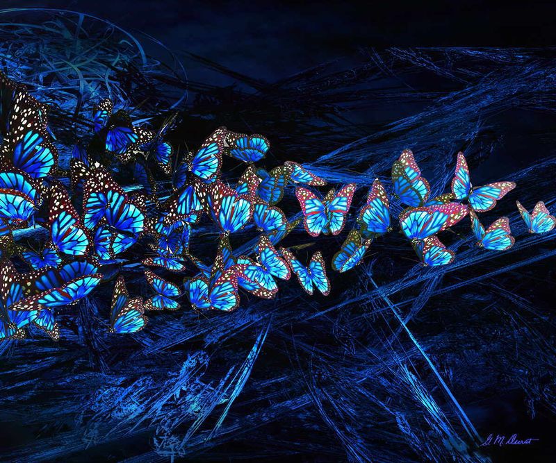 Magical Mariposas.jpg :: To purchase the original or a Limited Edition, contact DurstArt@aol.com