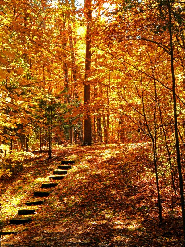 Natures Wedding Chapel.jpg :: To order a Limited Edition on canvas or paper, please contact DurstArt@aol.com