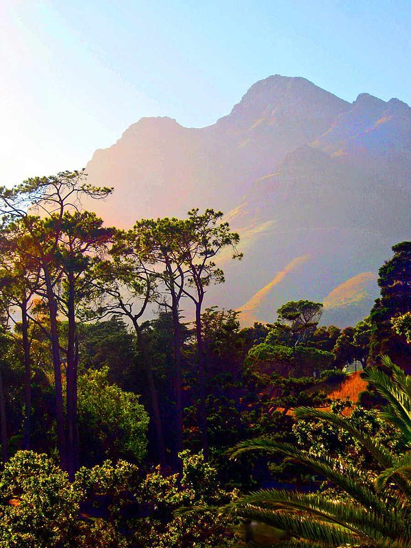 Table Mountain 2.jpg :: To order a Limited Edition, please contact DurstArt@aol.com