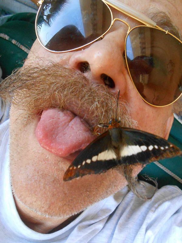 Butterfly Kisses 1.jpg :: To order a Limited Edition print, contact DurstArt@aol.com