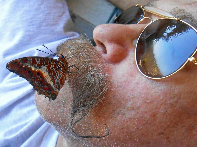Butterfly Kisses 2.jpg :: To order a Limited Edition print, contact DurstArt@aol.com