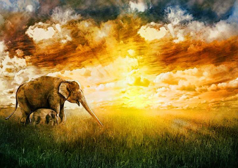 Elephants at Sunset.jpg :: To order the original artwork or a Master Edition, contact DurstArt@aol.com