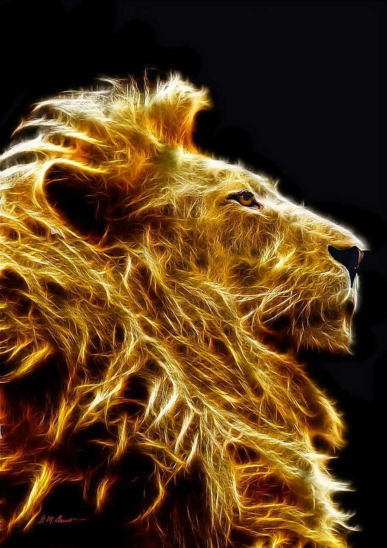 Fire Lion Op 9.jpg :: Acrylic on Canvas A1 size: 33\