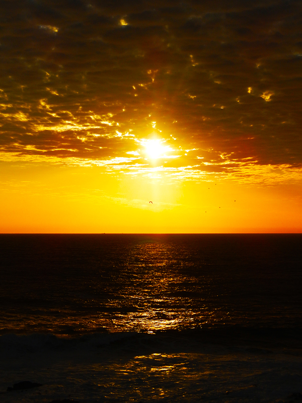 Golden Sunset.jpg :: To order prints, contact DurstArt@aol.com