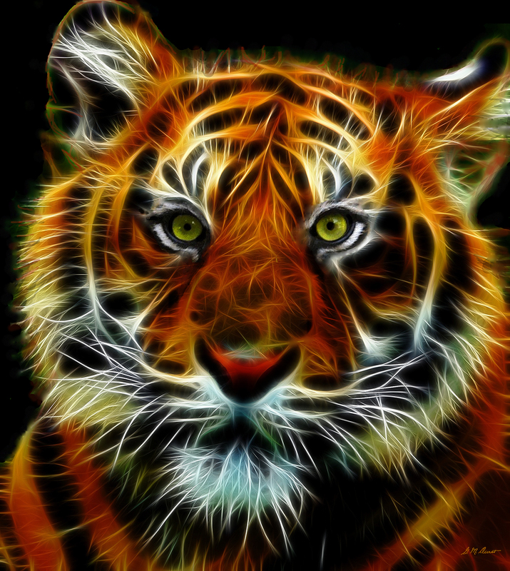 Indian Tiger.jpg :: To acquire this art or a print, contact DurstArt@aol.com