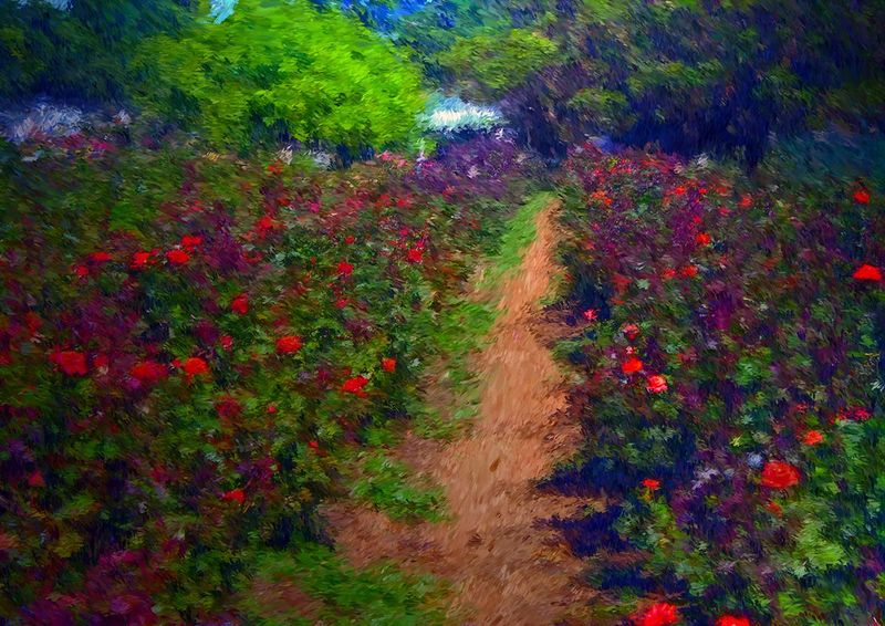 Rose Path.jpg :: Acrylic on Canvas A1 size: 33\
