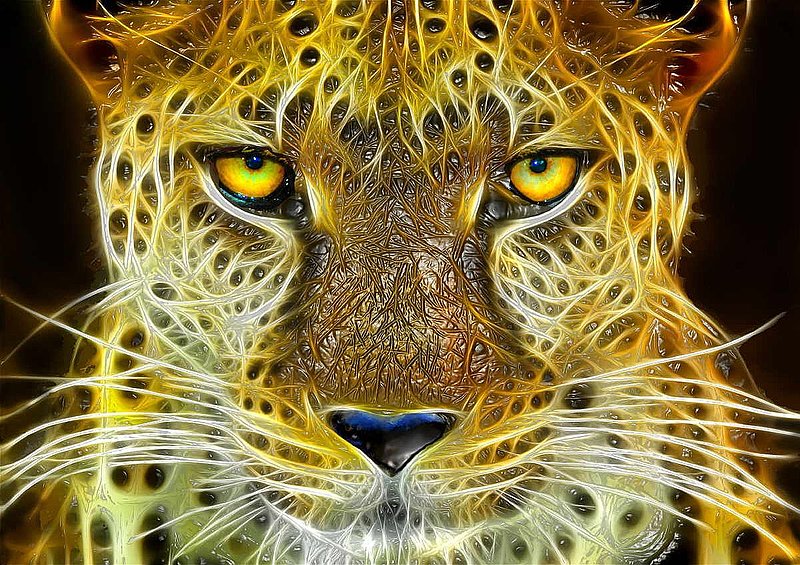 Spirit of the Cape Leopard Op 3.jpg :: Acrylic on Canvas A1 size: 33\