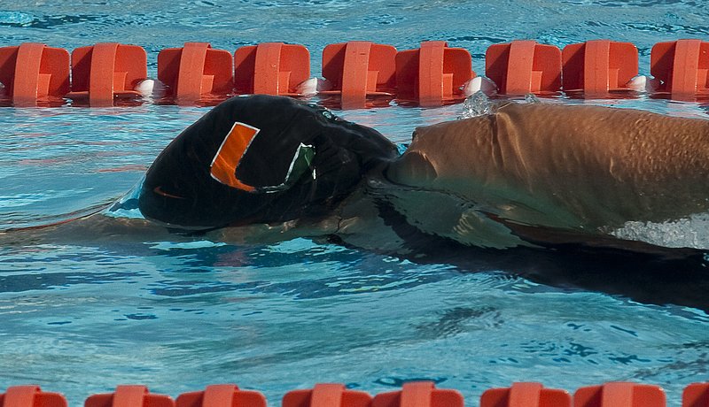 -12.jpg :: UM Swimming vs Central Connecticut