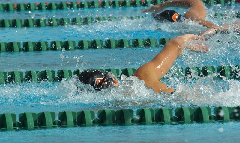 -302.jpg :: UM Swimming vs Central Connecticut