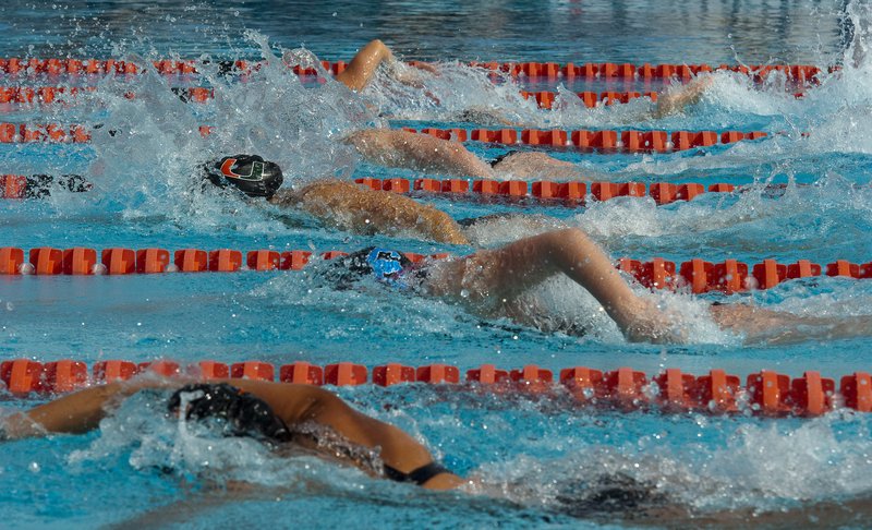 -333.jpg :: UM Swimming vs Central Connecticut